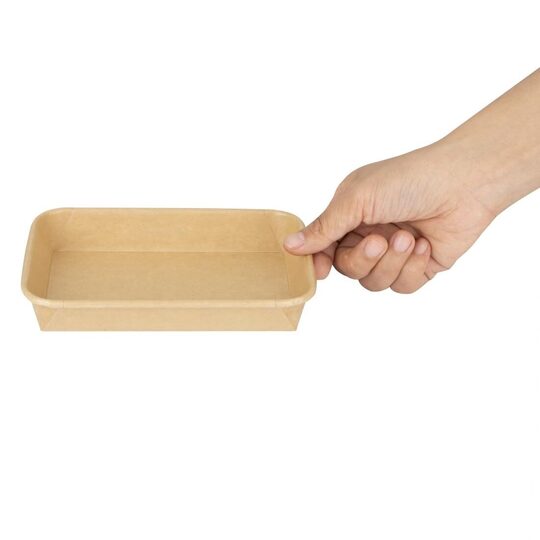 hx288_npi24-sushitray4