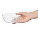 hz335_npi25-glassramekin3