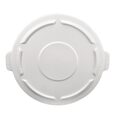 brute_lid_2
