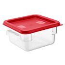 hy407_npi24-redlid4
