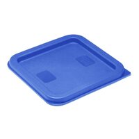 hy410_npi24-bluelid1