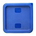 hy410_npi24-bluelid2