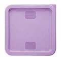 hy426_npi24-purplelid2