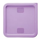 hy426_npi24-purplelid2