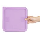 hy426_npi24-purplelid3