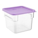 hy426_npi24-purplelid4