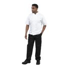 b250-xs_whitesnew1