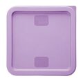 hy427_npi24-purplelid2