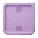 hy427_npi24-purplelid2