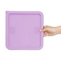 hy427_npi24-purplelid3