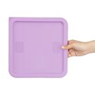 hy427_npi24-purplelid3