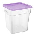 hy427_npi24-purplelid4