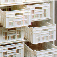 001-CBP1-1-KIT13-big