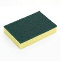 hx273_npi24-foamscourer1