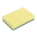 hx273_npi24-foamscourer2