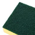 hx273_npi24-foamscourer4
