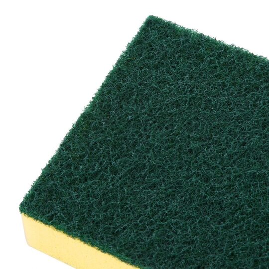 hx273_npi24-foamscourer4