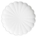 jb393_npi25-2