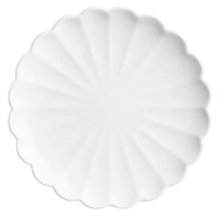 jb393_npi25-2