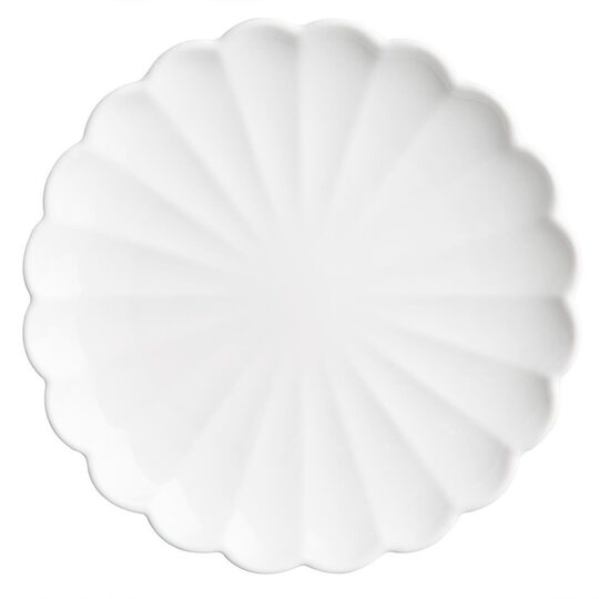 jb393_npi25-2