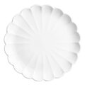 jb395_npi25-9