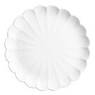 jb395_npi25-9