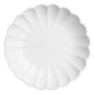 jb396_npi25-2