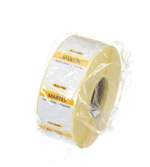 850817_OBW_2025_01_IMGP0161