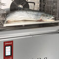 003--CBT-Poisson-Detail---GRAND-big