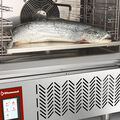 003_CBT-Poisson-Detail-big