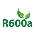 005R600-big