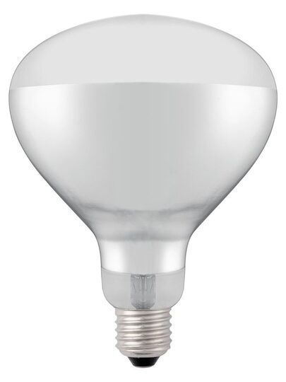 Breukvaste witte infraroodlamp Hendi 919200 voor de horeca