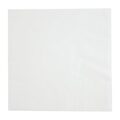 fe219_white