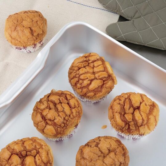 Detailopname van de hoogwaardige aluminium afwerking van de Vogue braadslede