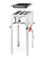 Detailopname van de Hendi Grill Master Mini gasbarbecue