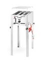 Grillrooster van de Hendi Grill Master Mini gasbarbecue