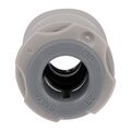 au229_npi25-9446