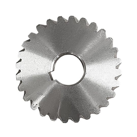 an484_spr24