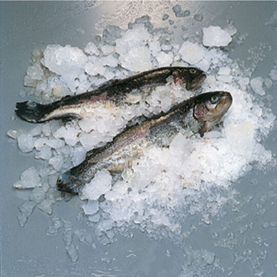 004-ICE400ISA-R2-POISSON-big