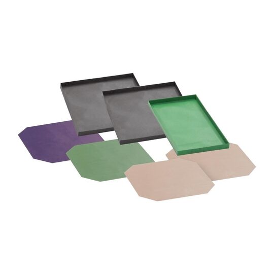 au100_npi25-2