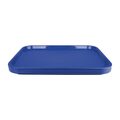 Dienblad polyprop. 30x40 cm. (Blauw) 3