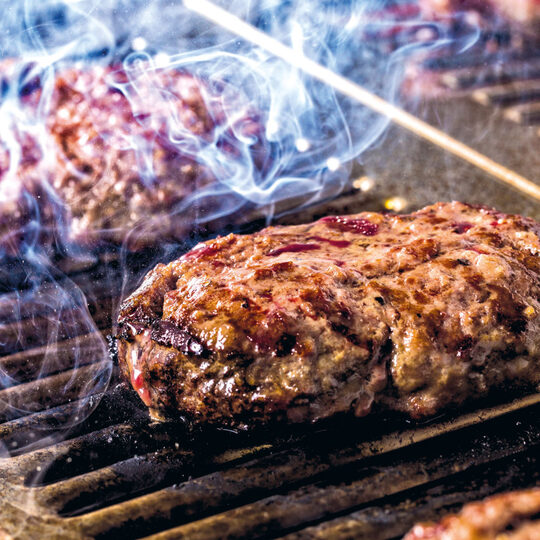 Duurzame RVS en messing staalborstels voor horeca gebruik