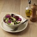 DR808_Olympia_Van Hattem Horeca 8