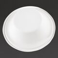 CW906_Fiesta Green_Van Hattem Horeca 3