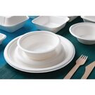 CW906_Fiesta Green_Van Hattem Horeca 7