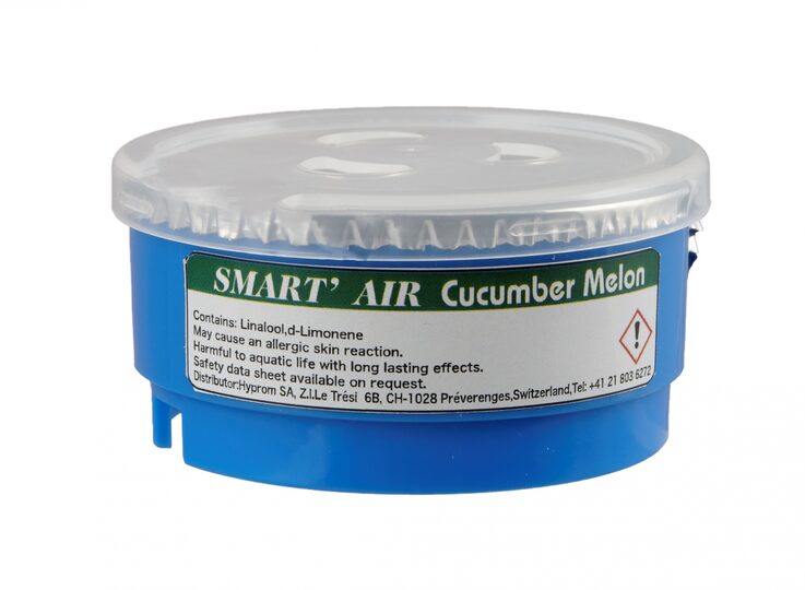 Afbeelding Cucumber Melon